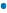 Bullet