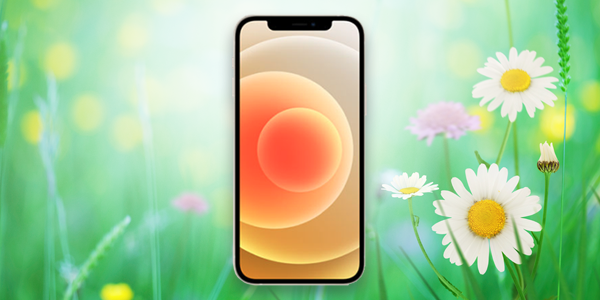 Spring Into Wireless
