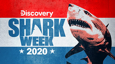 Shark Week Returns this Month