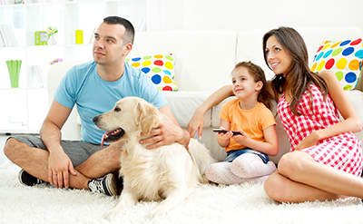 Watch the Best Movies from the Comfort of Your Home